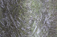 Alderley fibreglass roof work